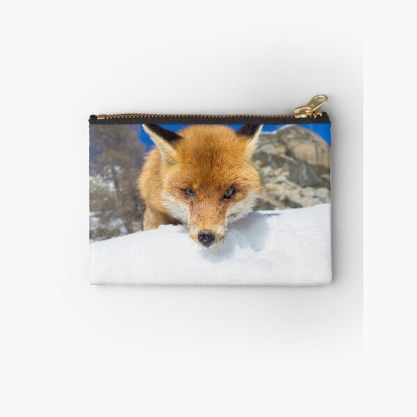 Item preview, red fox staring designed and sold by pietrofoto.