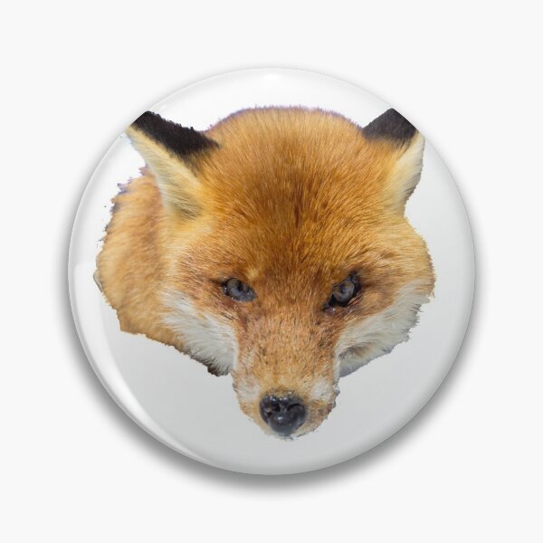 Item preview, Red fox designed and sold by pietrofoto.
