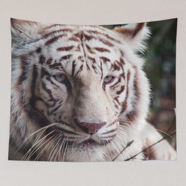 Item preview, White Bengal Tiger designed and sold by Animal Gifts For Animal Lovers.