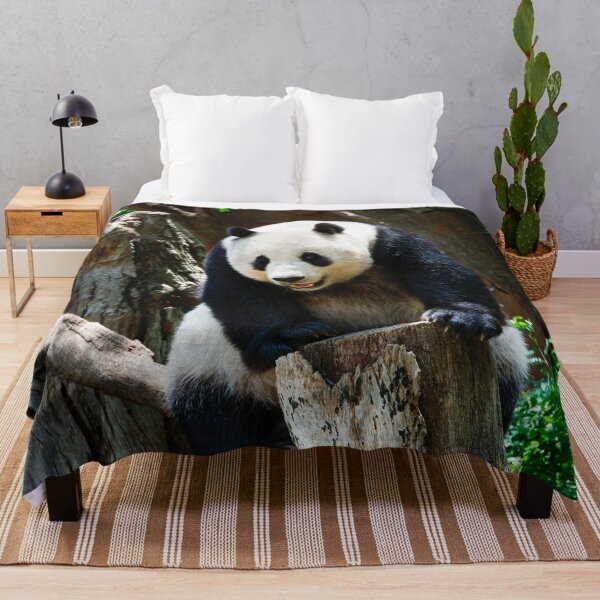Item preview, Panda Photo designed and sold by Animal Gifts For Animal Lovers.