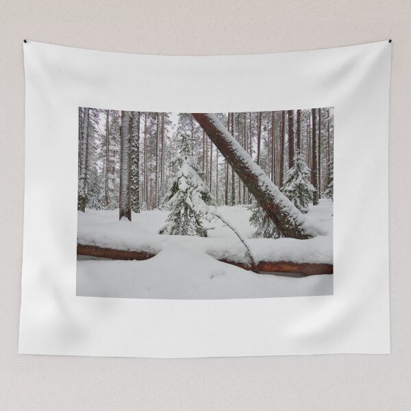 Item preview, Triangle of life designed and sold by Jouko Lehto Photography.