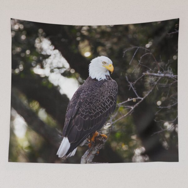 Item preview, Bald Eagle Photo  designed and sold by Animal Gifts For Animal Lovers.