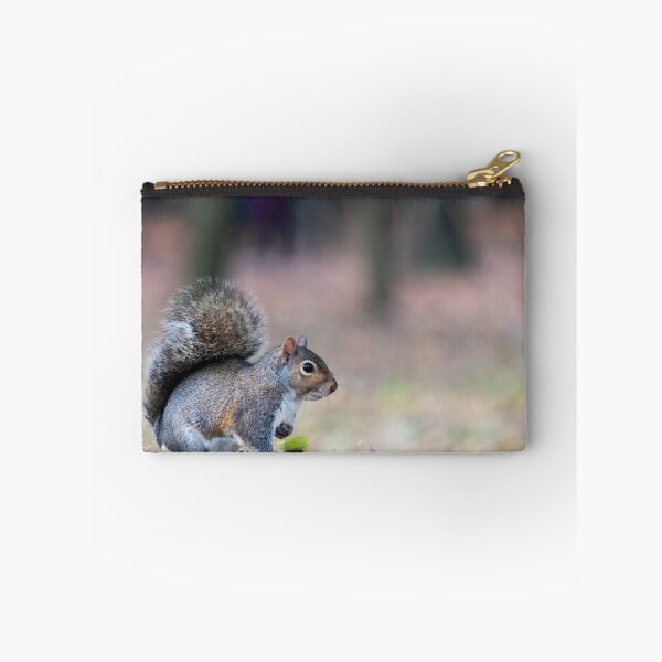 Item preview, Eastern gray squirrel designed and sold by pietrofoto.