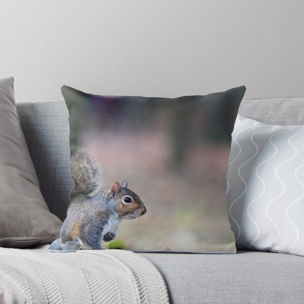 Item preview, Eastern gray squirrel designed and sold by pietrofoto.