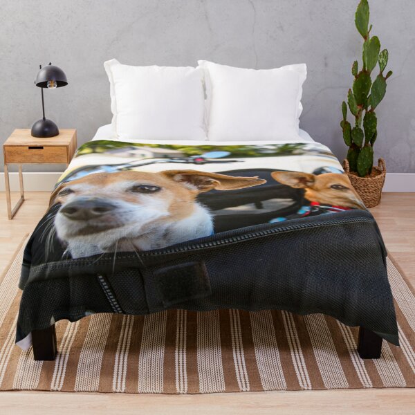 Artikelvorschau, Fahrrad Reiten Hunde Foto entworfen und verkauft von Animal Gifts For Animal Lovers.