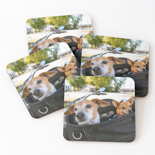 Item preview, Bike Riding Dogs Photo  designed and sold by Animal Gifts For Animal Lovers.