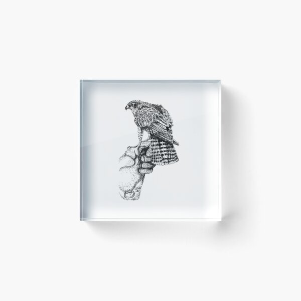 Item preview, Goshawk on glove designed and sold by Fozzyartsales.