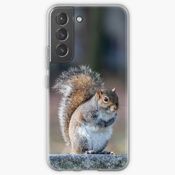 Eastern gray squirrel Samsung Galaxy Soft Case