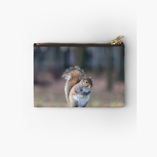 Item preview, Eastern gray squirrel designed and sold by pietrofoto.