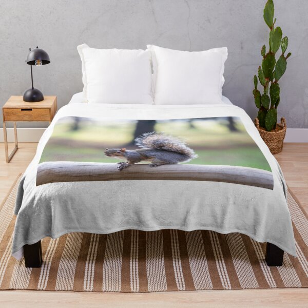 Item preview, Eastern gray squirrel designed and sold by pietrofoto.