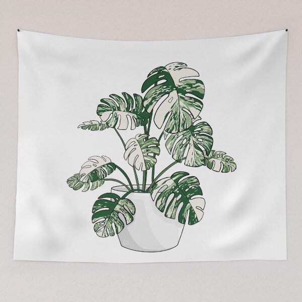 Item preview, Monstera deliciosa variegated plant designed and sold by lisaedlund.