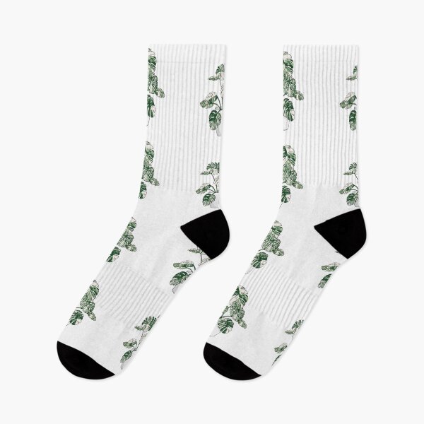 Item preview, Monstera deliciosa variegated plant designed and sold by lisaedlund.