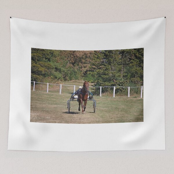 Item preview, Horse trotter breed in motion harness racing designed and sold by goceris.