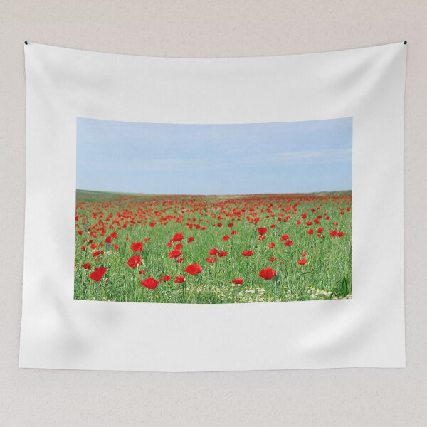 Aperçu de l'œuvre Paysage de prairie de fleurs de coquelicots rouges au printemps créée et vendue par goceris.