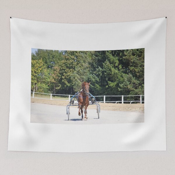Item preview, harness racing horse trotter breed in motion  designed and sold by goceris.