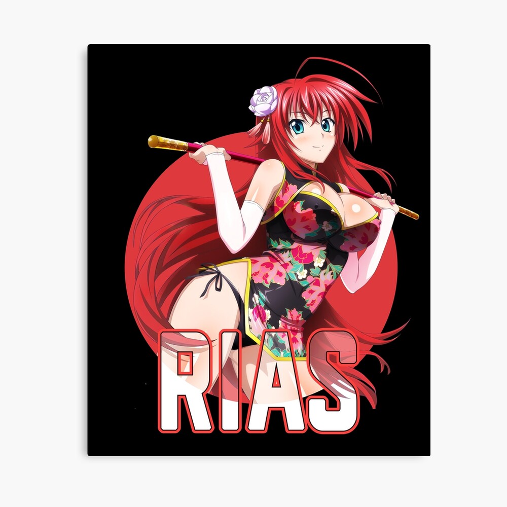 High School DxD : Rias Gremory - Sexy design