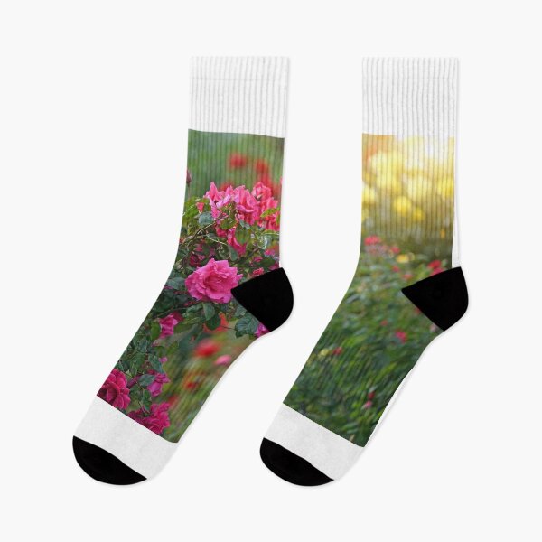 Item preview, Red roses in Volksgarten Vienna spring season designed and sold by goceris.