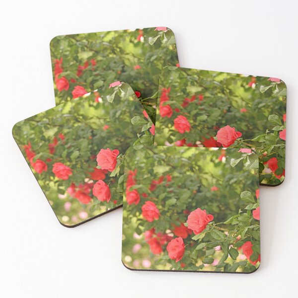 Item preview, roses in Volksgarten Vienna spring season designed and sold by goceris.