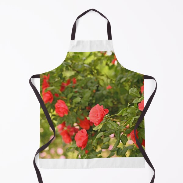 Item preview, roses in Volksgarten Vienna spring season designed and sold by goceris.