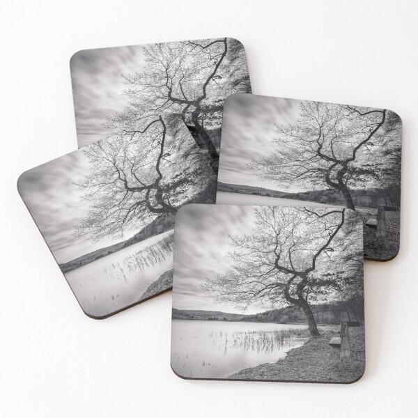 Item preview, Morehall Reservoir Companions in Mono designed and sold by Angie Morton.