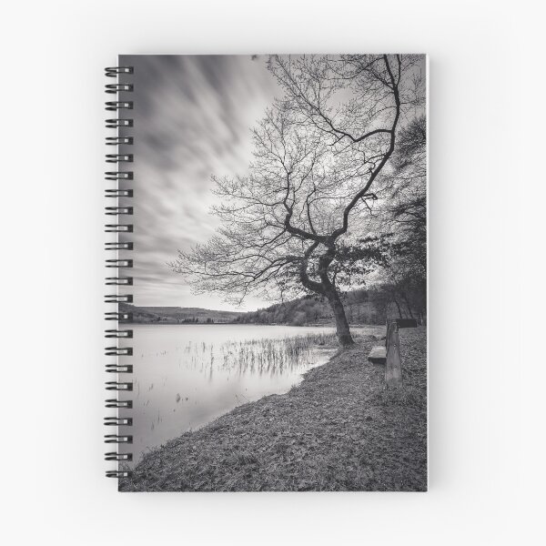 Item preview, Morehall Reservoir Companions in Mono designed and sold by Angie Morton.