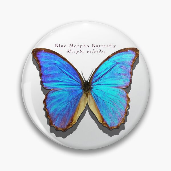 Item preview, Blue Morpho butterfly designed and sold by Trish Hart.