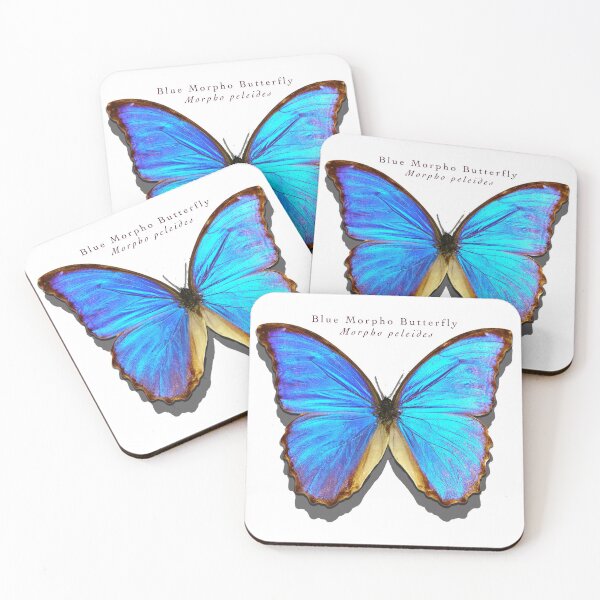 Item preview, Blue Morpho butterfly designed and sold by Trish Hart.