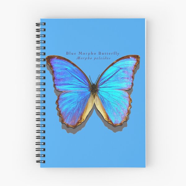 Item preview, Blue Morpho butterfly designed and sold by Trish Hart.