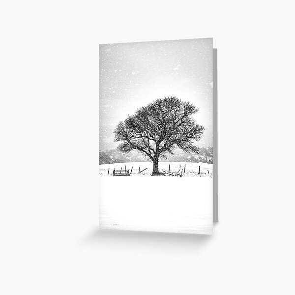 Item preview, Lonely Tree designed and sold by ValleyPhotoman.