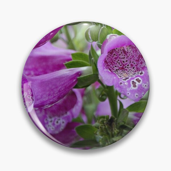 Item preview, Foxgloves from the garden designed and sold by Kerry LeBoutillier.