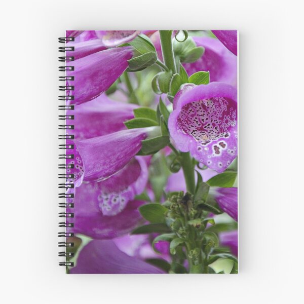 Item preview, Foxgloves from the garden designed and sold by Kerry LeBoutillier.