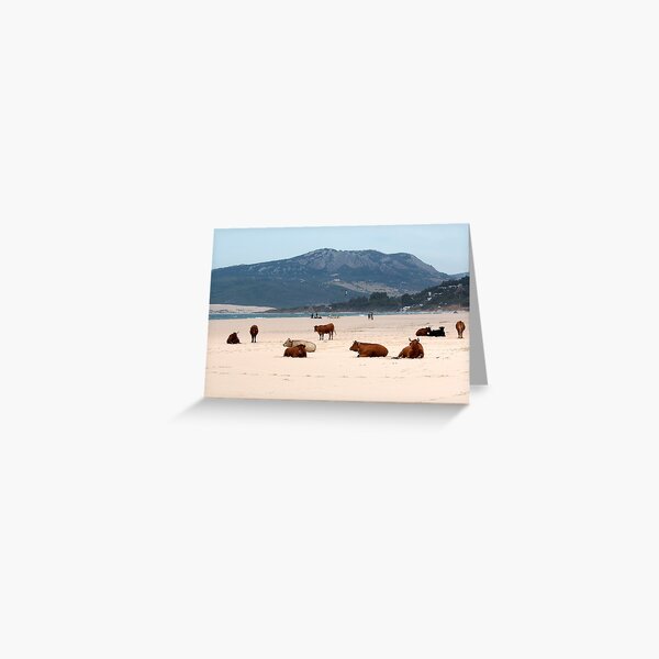 Item preview, Beach Cows. designed and sold by Lesogorman.