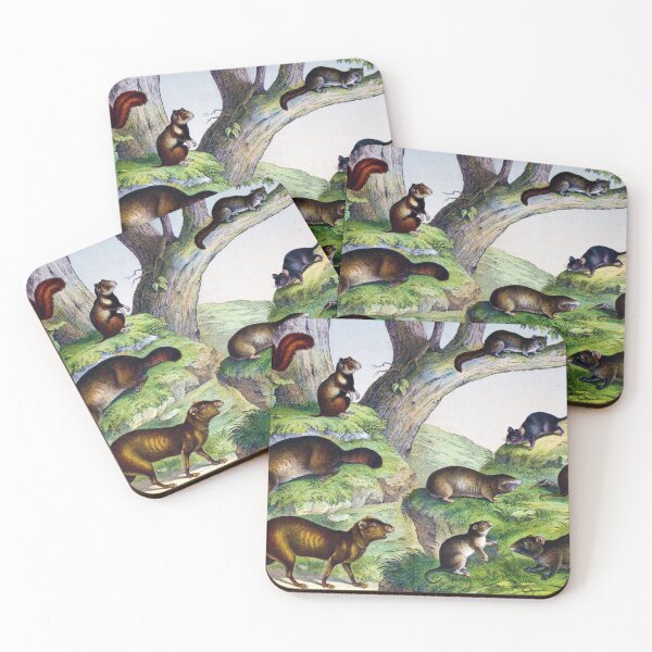 Item preview, Assorted rodents designed and sold by Ecologos.