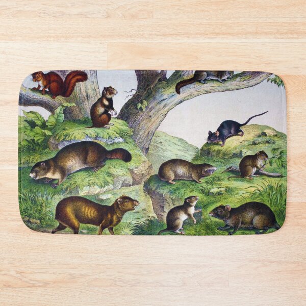 Item preview, Assorted rodents designed and sold by Ecologos.