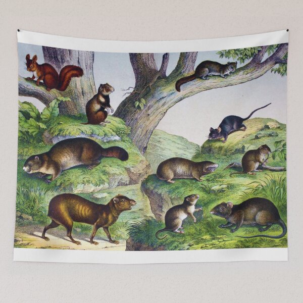 Item preview, Assorted rodents designed and sold by Ecologos.