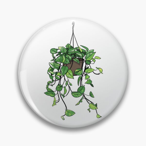 Item preview, Golden Pothos hanging plant designed and sold by lisaedlund.