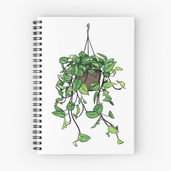 Item preview, Golden Pothos hanging plant designed and sold by lisaedlund.