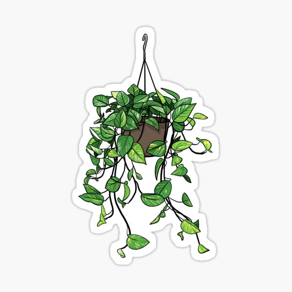 Top 72+ hanging plant tattoo latest - in.cdgdbentre