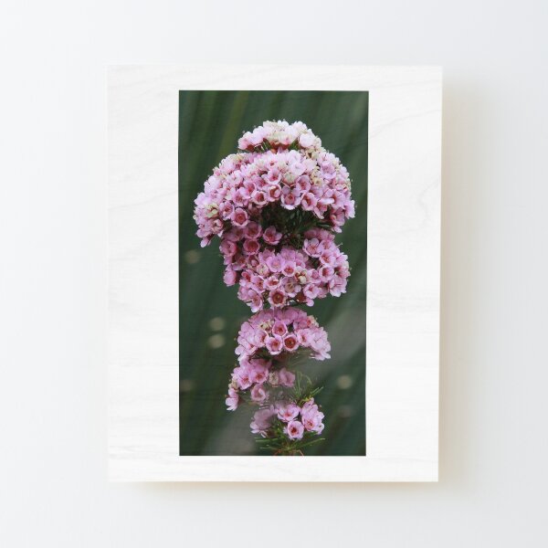 Pink Cloud City Wood Mounted Print