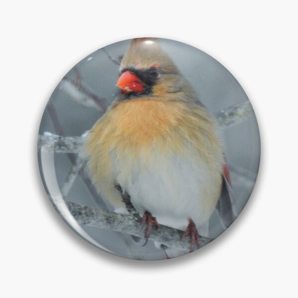 Item preview, Northern Cardinal Female  designed and sold by Uni356.