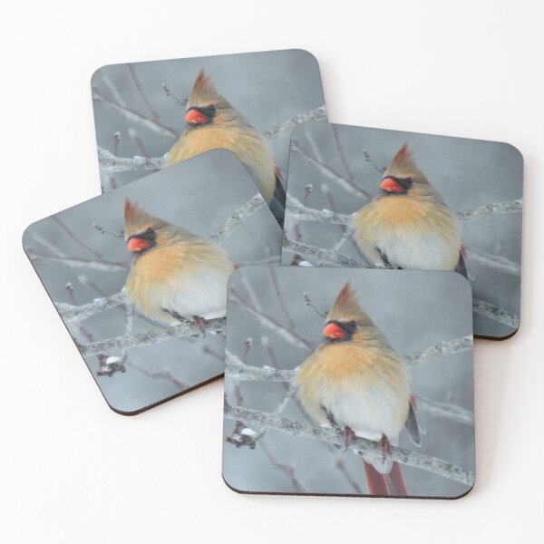 Item preview, Northern Cardinal Female designed and sold by Uni356.