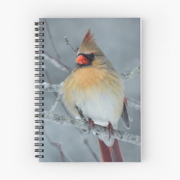Item preview, Cardenal norteño hembra designed and sold by Uni356.