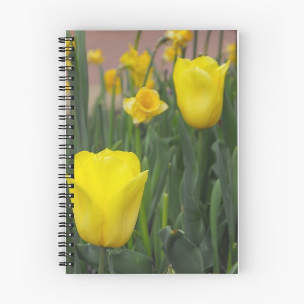 Item preview, Missou College Tulips designed and sold by photosbyapril.