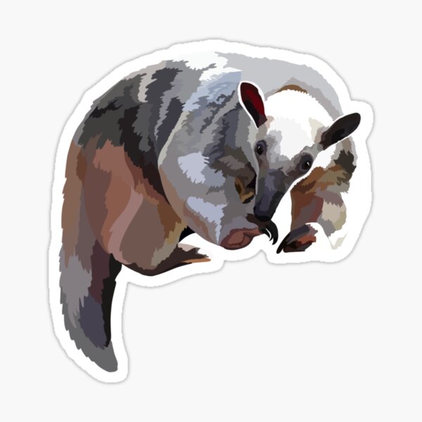 Flavvore Tamandua Pose | Sticker