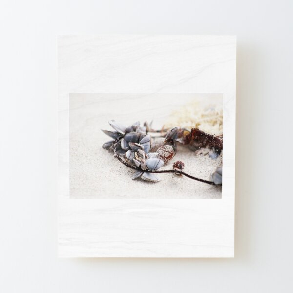 Shell Necklace Wood Mounted Print
