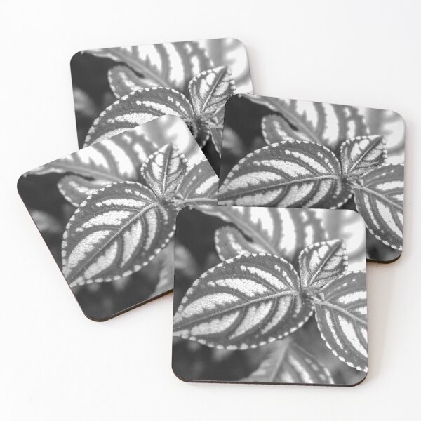 Item preview, Leaf Monochrome designed and sold by HJoPhotography.