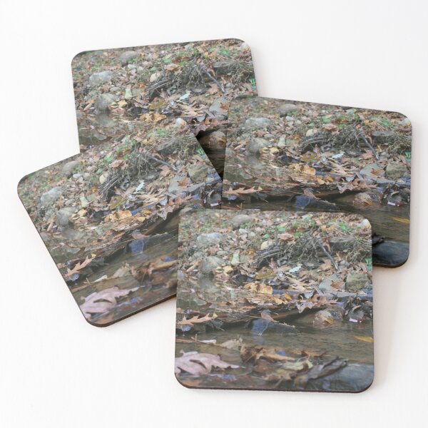 Item preview, Turkey Run - Leaves in the Creek designed and sold by CreativeAD.