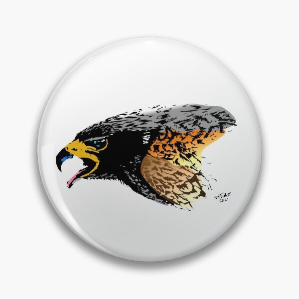 Item preview, Harris Hawk  colour Study designed and sold by Fozzyartsales.