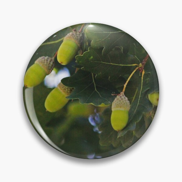 Item preview, Glorious Gumnuts designed and sold by KazM.
