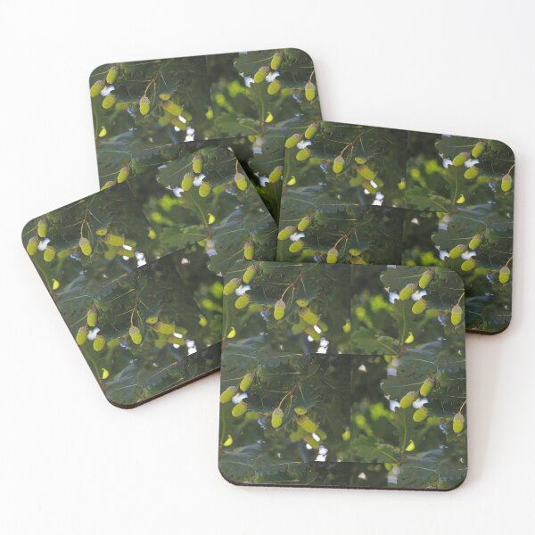 Item preview, Glorious Gumnuts designed and sold by KazM.